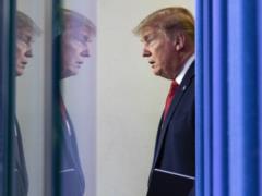  Это позор  Дональд Трамп прокомментировал склонение колена игроками НБА