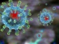 For the second day in a row in Ukraine there is an anti-record of cases of COVID-19