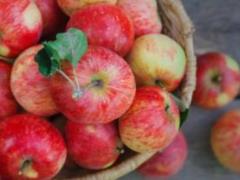 How to eat apples for maximum health benefits