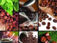 Only 5 coffee beans: a neuropsychologist told how to get a boost of vivacity