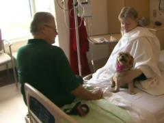 Patients can meet pets at a Canadian hospital