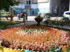 Ко Дню города в Харькове благоустроили более 200 дворов