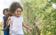 The more trees, the higher the IQ: scientists have named the best place to live