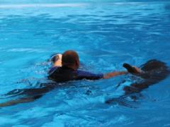 Dolphin therapy sessions were organized for the ATO-OOS participants in Kharkiv