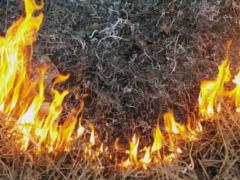В Украине объявлен чрезвычайный уровень пожарной опасности