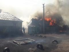 На Харьковщине в результате крупного лесного пожара уничтожены 8 домов