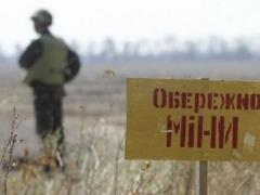 TCG agreed on a framework decision on mine action
