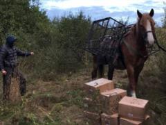 В Харьковской области на границе с РФ пограничникам пришлось открыть предупредительный огонь