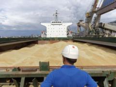 Украина начала продавать пшеницу в Саудовскую Аравию