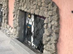 В Харькове  традиционные вандалы  напали на офис ЛГБТ-активистов