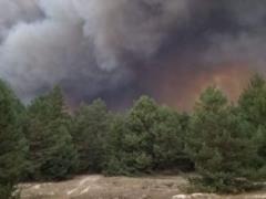 Под Киевом произошел пожар на полигоне ВСУ