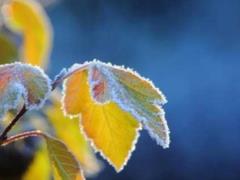 Night frosts are coming to Ukraine