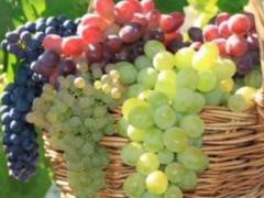 How to choose safe and healthy grapes: says a specialist