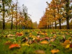 Выходные в октябре 2020: украинцы получат дополнительный выходной