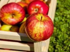 Ученые назвали продукты, которые «растворяют» жир на животе