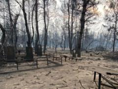 Пожары на Луганщине:  Была ли это провокация или другие причины – должны ответить правоохранители , - Зеленский