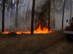 Extinguishing 7 fires continues in Luhansk region