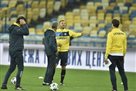 Украина сыграет против Испании в желтой форме
