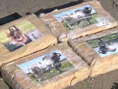 В Нидерландах на пляж выбросило 300 пакетов с кокаином