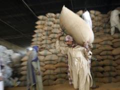 Страны запасаются продуктами на случай второй волны коронавируса