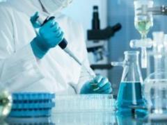 Molecule of youth found - scientists