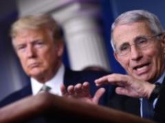 Трамп снова попал в скандал: обозвал главного эпидемиолога США идиотом