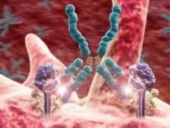 Scientists have named the enzyme responsible for the development of autoimmune diseases