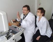 Colon cancer diagnostics and treatment