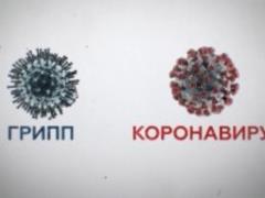 В ВОЗ рассказали, как отличить грипп от коронавируса