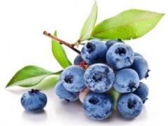 Продукты, которые любит поджелудочная железа