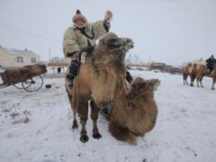 Dmitry Komarov will show how he drove camels across Inner Mongolia