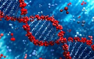 Persistent immunity to COVID is developed in only a part of those who have recovered - scientists