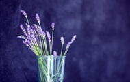 Historians and perfumers will create a library of scents from old Europe