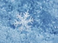 What winter will be in Ukraine: the weather forecaster surprised with his forecast