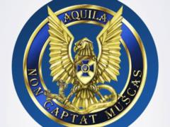SBU stopped smuggling of Russian military goods
