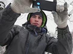 В России студент вынужден заниматься, влезая на березу