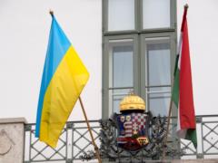 В правящей партии Венгрии увидели  гражданскую войну  на Закарпатье