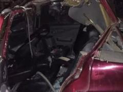 Трое подростков скончались, еще двое получили травмы при наезде автомобиля на табун лошадей