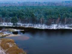 Чернобыльский заповедник появился в международной базе WDPA