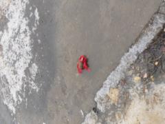 В спальном районе Харькова на тротуаре нашли гранату