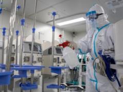 В Дании, Нидерландах и Австралии тоже обнаружили мутацию коронавируса