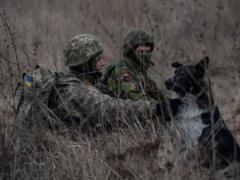 JFO: 9 fire provocations per day, Russian troops destroyed a tractor, a civilian was wounded