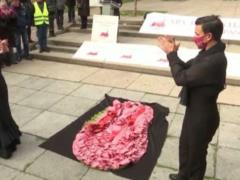 Ради спасения фламенко испанцы устроили стриптиз в центре Мадрида