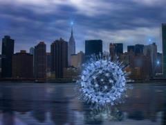 More than 81 million people have already contracted coronavirus in the world