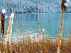 Forecasters told what the weather will be like on the last day of the year