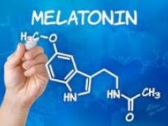 Can melatonin protect against coronavirus infection?