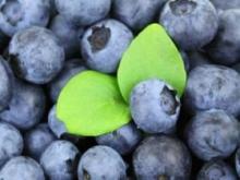 10 продуктов для продления жизни