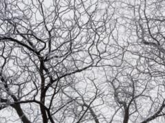Significant cooling is coming to Ukraine