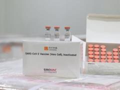 Турция одобрила использование вакцины производства Sinovac Biotech