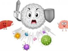 Dr. Komarovsky named the best foods to maintain immunity